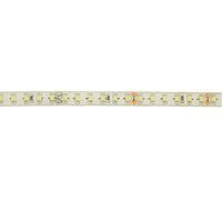 Lyyt | Professional 24V high Output LED Tape | Cool White | 5M Reel