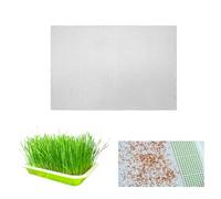 LYYZLFLDM 4 Pcs Seed Sprouting Mesh, 11 * 8.28 Inches Silicone Seed Sprouting Tray Mesh Mat, Hydroponic Growing Mats for Microgreens Growing Kit