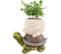 LZEXIN Face Flower Pots Cute Planter, Resin Smile Face Flower Smiley Head Plant Pot with Drainage Hole, Creative Flower Pot Succulent Planters for Indoor Outdoor Plants(Riding The Turtle Model)