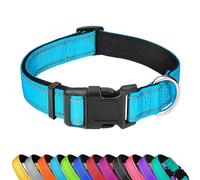 LZGOPE Reflective Dog Collar, Adjustable Soft Neoprene Padded Nylon Pet Collars with Buckle for Medium Dogs, Sky Blue,M