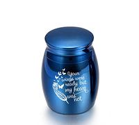 LZHLMCL Pet Urn Wing Cremation Jewelry Ashes Keepsake Memorial Your Wings Were Ready My Heart Was Not Urn Blue
