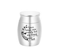 LZHLMCL Urn For Ashes Wing Cremation Jewelry Ashes Keepsake Memorial Your Wings Were Ready My Heart Was Not Urn Silver