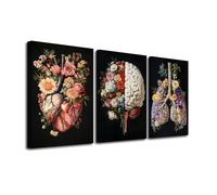 LZIMU Anatomical Organs Canvas Wall Art 3 Panel Viscera Heart Lungs Brain Pictures Wall Decor Human Organ Flower Painting Prints For Hospital Doctor Office Framed (Black, 11x14inchx3 Pieces)