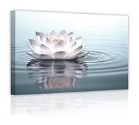 LZIMU Zen Wall Art Lotus Flowers on Water Pictures Water Lily Canvas Prints Bathroom Decor Spa Artwork for Yoga Studio Meditation Spiritual Room Framed (Zen-2, 12.00"x18.00")
