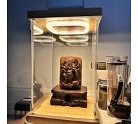 LZMZMQ Small Doll Display Case with LED, Removable Clear Plastic Box for Purses/Figurines/Statues, Protection Clear Containers for Organizing(10X20X20cm/4X8X8inch)