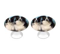 LZQPOEAS 2 Pack Border Collie Drawer Knobs - 1.1 Inch Stainless Steel Cabinet Hardware Round Kitchen Cabinet Handles Elegant Dresser Pulls for Kitchen, Cupboard, Closet, Furniture