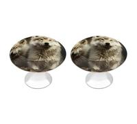 LZQPOEAS 2 Pack Cute Wolf Drawer Knobs - 1.1 Inch Stainless Steel Cabinet Hardware Round Kitchen Cabinet Handles Elegant Dresser Pulls for Kitchen, Cupboard, Closet, Furniture