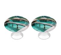 LZQPOEAS 2 Pack Tahiti Beach Drawer Knobs - 1.1 Inch Stainless Steel Cabinet Hardware Round Kitchen Cabinet Handles Elegant Dresser Pulls for Kitchen, Cupboard, Closet, Furniture