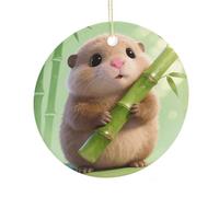 LZQPOEAS Cute Bamboo Guinea Pig Round Ceramic Pendant Hanging Festival Ornament, Personalized Double Sided Ceramic Home Decor, Lightweight Durable Hanging Ornament Gift for Home, Party, Women Men