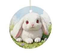 LZQPOEAS Cute Bunny Round Ceramic Pendant Hanging Festival Ornament, Personalized Double Sided Ceramic Home Decor, Lightweight Durable Hanging Ornament Gift for Home, Party, Women Men