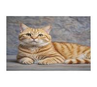 LZQPOEAS Cute Cat Door Mat Comfortable Cushioned Kitchen Mats Non-Slip Washable Pet Rug Ultra-Thin Soft Rug Easy Clean Low Profile Mat for Indoor Living Room Bathroom Door