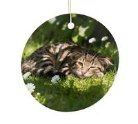 LZQPOEAS Cute Cats Round Ceramic Pendant Hanging Festival Ornament, Personalized Double Sided Ceramic Home Decor, Lightweight Durable Hanging Ornament Gift for Home, Party, Women Men