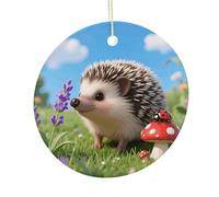 LZQPOEAS Cute Hedgehog Round Ceramic Pendant Hanging Festival Ornament, Personalized Double Sided Ceramic Home Decor, Lightweight Durable Hanging Ornament Gift for Home, Party, Women Men
