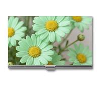 LZQPOEAS Daisy Pastel Green Business Card Holder, Personalized Metal Name Card Case, Portable Pocket Card Organizer with Buckle Closure, Professional Business Card Container for Office