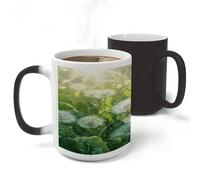 LZQPOEAS Dandelions on The Grass Mug 11Oz Colour Changing Magic Coffee Tea Cup Stylish Drinkware Ceramic Mugs Thermal Induction Novelty Funny Mug for Women Men