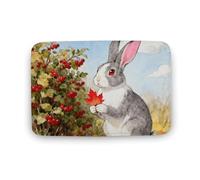LZQPOEAS Fall Animal Floor Mat 15.7" x23.6 Stylish Multifunctional Coral Fleece Rugs Soft Super Absorbent Patterned Thick Bath Mats for Bathroom Floor,Dressing Table, Home Decor Accessories