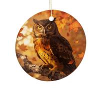 LZQPOEAS Fall Owl Round Ceramic Pendant Hanging Festival Ornament, Personalized Double Sided Ceramic Home Decor, Lightweight Durable Hanging Ornament Gift for Home, Party, Women Men