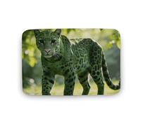LZQPOEAS Green Leopard Floor Mat 15.7" x23.6 Stylish Multifunctional Coral Fleece Rugs Soft Super Absorbent Patterned Thick Bath Mats for Bathroom Floor,Dressing Table, Home Decor Accessories