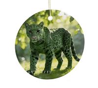LZQPOEAS Green Leopard Round Ceramic Pendant Hanging Festival Ornament, Personalized Double Sided Ceramic Home Decor, Lightweight Durable Hanging Ornament Gift for Home, Party, Women Men