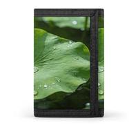 LZQPOEAS Green Lotus Leaf Wallet Slim Compact Stylish Trifold Wallet for Men Women Minimalist Front Pocket Travel Divided Billfold