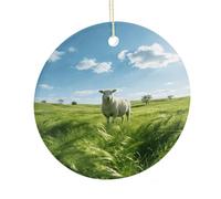 LZQPOEAS Green Prairie Stroll Round Ceramic Pendant Hanging Festival Ornament, Personalized Double Sided Ceramic Home Decor, Lightweight Durable Hanging Ornament Gift for Home, Party, Women Men