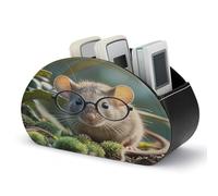 LZQPOEAS Guinea Mouse With Glasses Remote Control Holder Desk Storage Organizer Box Container Remote Storage Box with 5 Compartments PU Leather Remote Caddy for Home Bedside Table Organizer