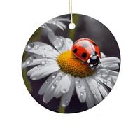 LZQPOEAS Ladybug on Daisy Flower Round Ceramic Pendant Hanging Festival Ornament, Personalized Double Sided Ceramic Home Decor, Lightweight Durable Hanging Ornament Gift for Home, Party, Women Men