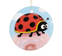 LZQPOEAS Ladybug Round Ceramic Pendant Hanging Festival Ornament, Personalized Double Sided Ceramic Home Decor, Lightweight Durable Hanging Ornament Gift for Home, Party, Women Men
