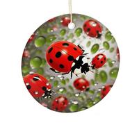 LZQPOEAS Ladybug Round Ceramic Pendant Hanging Festival Ornament, Personalized Double Sided Ceramic Home Decor, Lightweight Durable Hanging Ornament Gift for Home, Party, Women Men