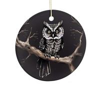 LZQPOEAS Late Night Owl Round Ceramic Pendant Hanging Festival Ornament, Personalized Double Sided Ceramic Home Decor, Lightweight Durable Hanging Ornament Gift for Home, Party, Women Men