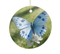 LZQPOEAS Light Blue Butterfly Round Ceramic Pendant Hanging Festival Ornament, Personalized Double Sided Ceramic Home Decor, Lightweight Durable Hanging Ornament Gift for Home, Party, Women Men