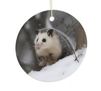 LZQPOEAS Opossum In Snow Round Ceramic Pendant Hanging Festival Ornament, Personalized Double Sided Ceramic Home Decor, Lightweight Durable Hanging Ornament Gift for Home, Party, Women Men