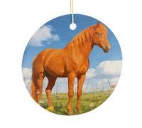 LZQPOEAS Orange Horse Round Ceramic Pendant Hanging Festival Ornament, Personalized Double Sided Ceramic Home Decor, Lightweight Durable Hanging Ornament Gift for Home, Party, Women Men