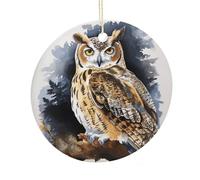 LZQPOEAS Owl2 Round Ceramic Pendant Hanging Festival Ornament, Personalized Double Sided Ceramic Home Decor, Lightweight Durable Hanging Ornament Gift for Home, Party, Women Men