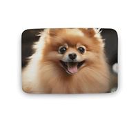 LZQPOEAS Pomeranian Dog Floor Mat 15.7" x23.6 Stylish Multifunctional Coral Fleece Rugs Soft Super Absorbent Patterned Thick Bath Mats for Bathroom Floor,Dressing Table, Home Decor Accessories
