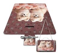 LZQPOEAS Pomeranians Puppies and Point Picnic Blanket Outdoor, Square Foldable Lightweight Waterproof Beach Mat (58.3" X 58.3"), Portable Travel Rug for Beach, Camping, Lawn, Parks & Family Picnics