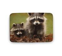 LZQPOEAS Raccoon Floor Mat 15.7" x23.6 Stylish Multifunctional Coral Fleece Rugs Soft Super Absorbent Patterned Thick Bath Mats for Bathroom Floor,Dressing Table, Home Decor Accessories