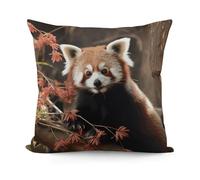 LZQPOEAS Red Pandas Throw Pillow Cover 18x18 in Breathable Square Pillow Case Cozy Soft Pillowcase Protector Fashion Modern Couch Cushion Case for Living Room Bed Sofa Decor
