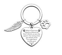 LZZEM Personalized Pet Memorial Keychain Heart Shaped Paw Print Keepsake for the Loss of a Loved Dog and Cat Grief Gift for Pet Lovers Angel Memorial Keychain