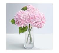 LZZYFPX Beautiful Real Touch Hydrangea Artificial Flowers Latex Faux Hydrangea Flowers for Home Party Floral Wedding Centerpieces Decor 3 PCS ornament(3 PCS Pink)