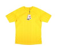 (M) 2022-2023 Denmark Away Goalkeeper Jersey (Yellow)