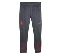 Puma Manchester City Training Bottoms 2023 2024 Adults M Grey