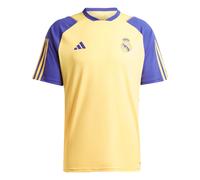 (M) 2023-2024 Real Madrid Training Shirt (Spark)