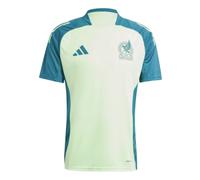 (M) 2024-2025 Mexico Training Jersey (Green)
