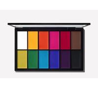 M.A.C PRO Palette PAINTSTICK X 12