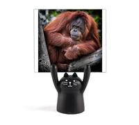 m Animal Orang-utan Memo Holder Cartoon Black Cat Stand Decoration