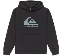(M, Anthracite) Quiksilver Kids Comp Logo Pullover Hoodie