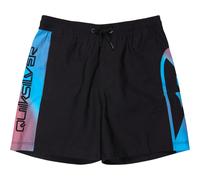 (M, Anthracite) Quiksilver Kids Everyday Holmes Volley 16" Swim Shorts