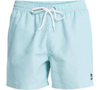 Quiksilver Swim Shorts Everyday Deluxe Volley 15 Mens Blue