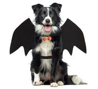 M Bat Dog Costume: Wings with Pumpkin Bell, Halloween Outfit for Small, Med, Large Dogs & Cats
